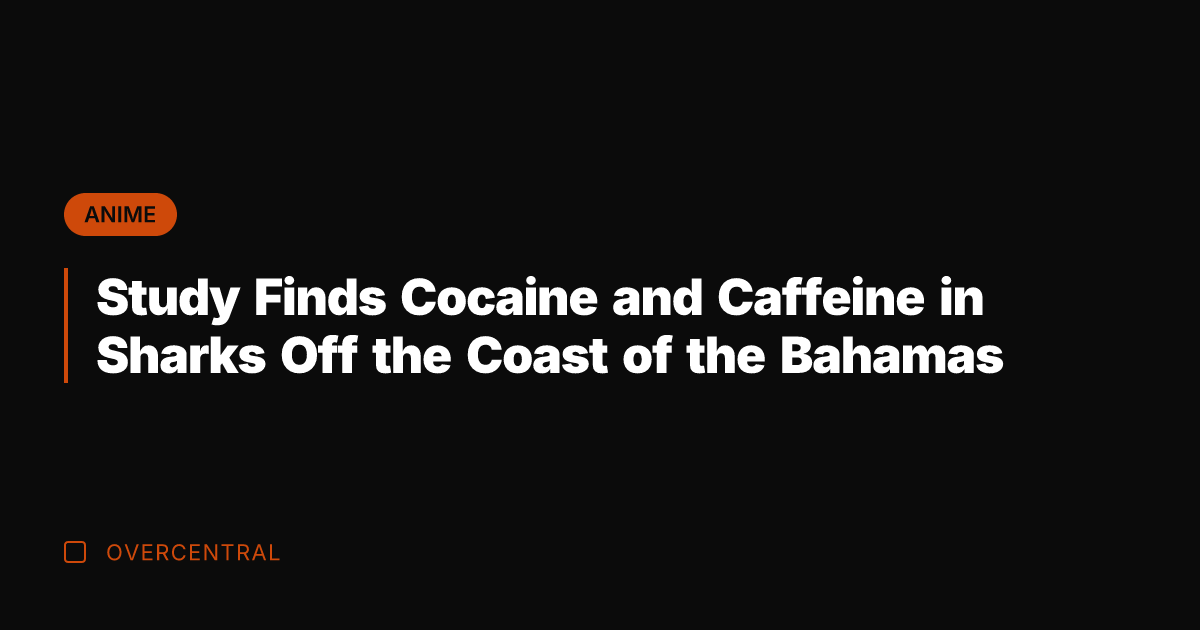 Study Finds Cocaine and Caffeine in Sharks Off the Coast of the