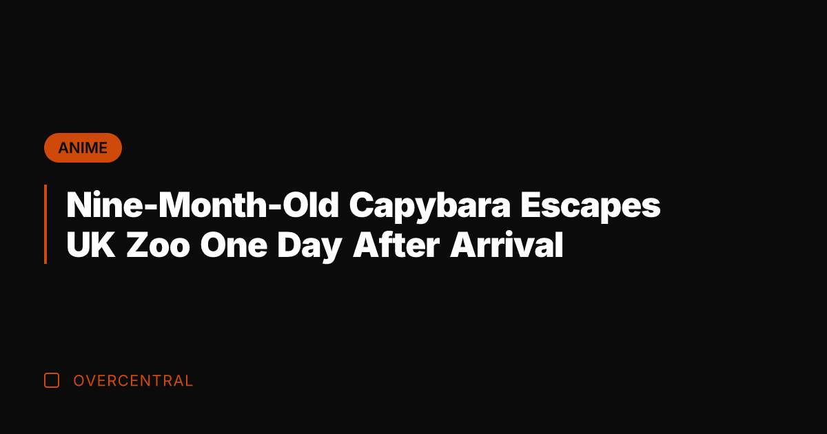 Nine-Month-Old Capybara Escapes UK Zoo One Day After Arrival
