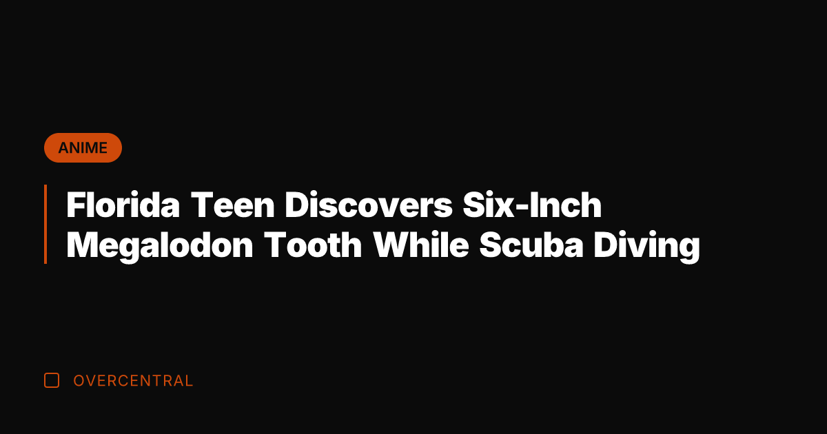 Florida Teen Discovers Six-Inch Megalodon Tooth While Scuba Diving