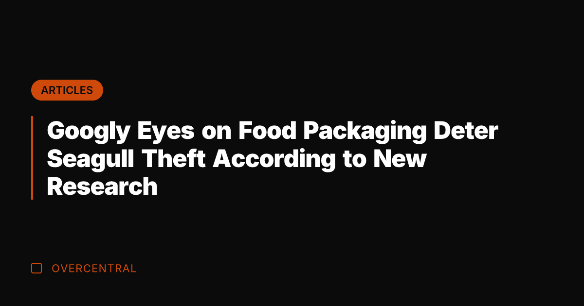 Googly Eyes on Food Packaging Deter Seagull Theft According to New Research