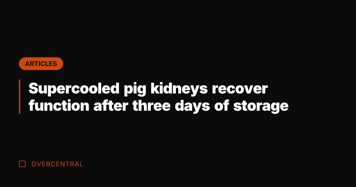Supercooled pig kidneys recover function after three days of storage