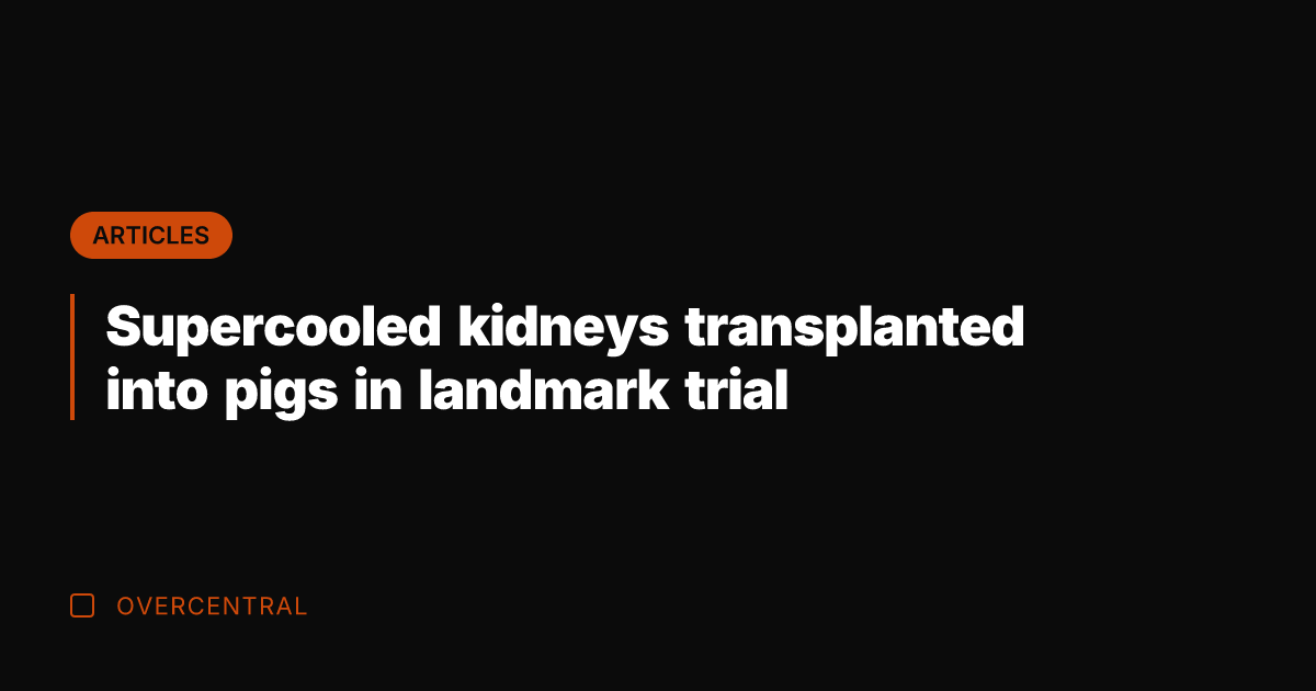 Supercooled kidneys transplanted into pigs in landmark trial