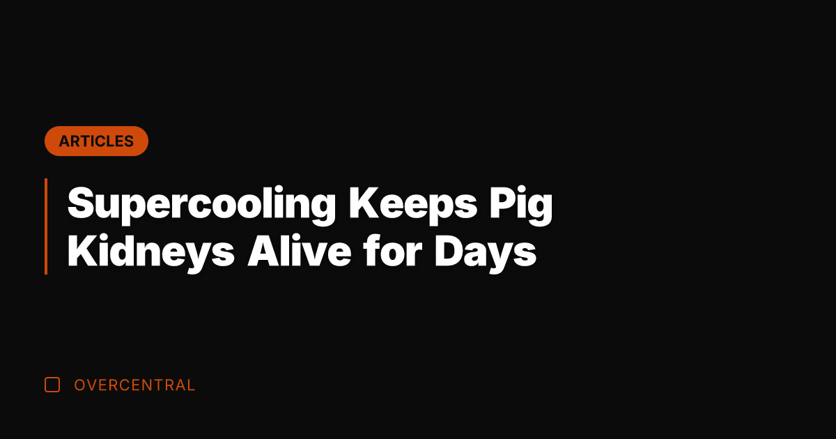 Supercooling Keeps Pig Kidneys Alive for Days