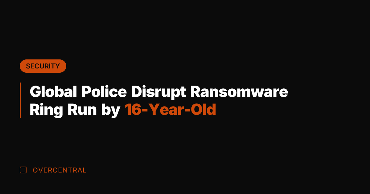 Global Police Disrupt Ransomware Ring Run by 16-Year-Old