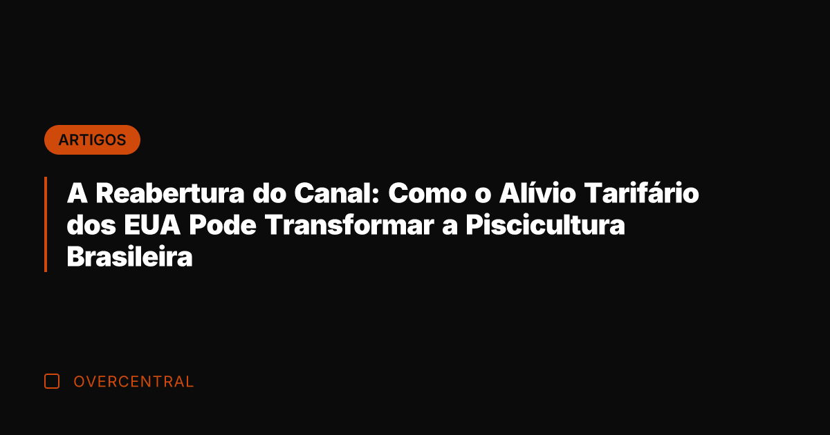 A Reabertura do Canal: Como o Alívio Tarifário dos EUA Pode Transformar