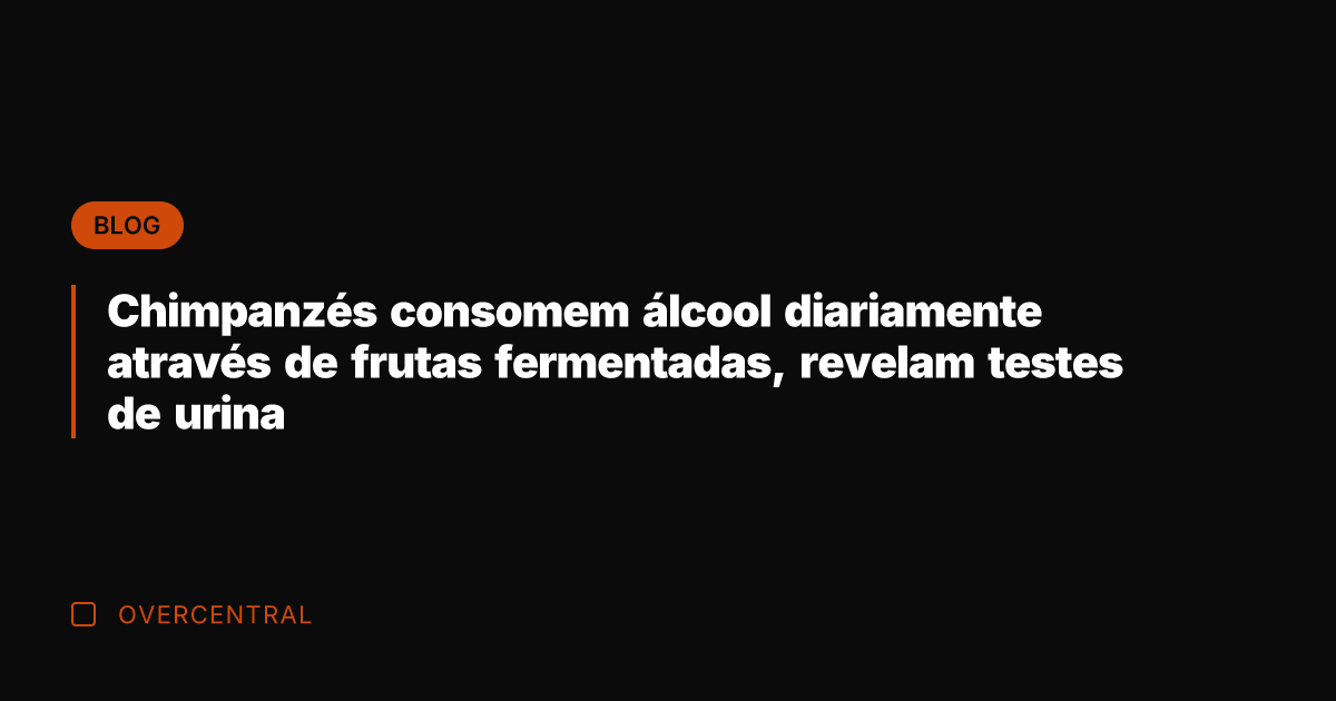 Chimpanzés consomem álcool diariamente através de frutas fermentadas, revelam testes de urina