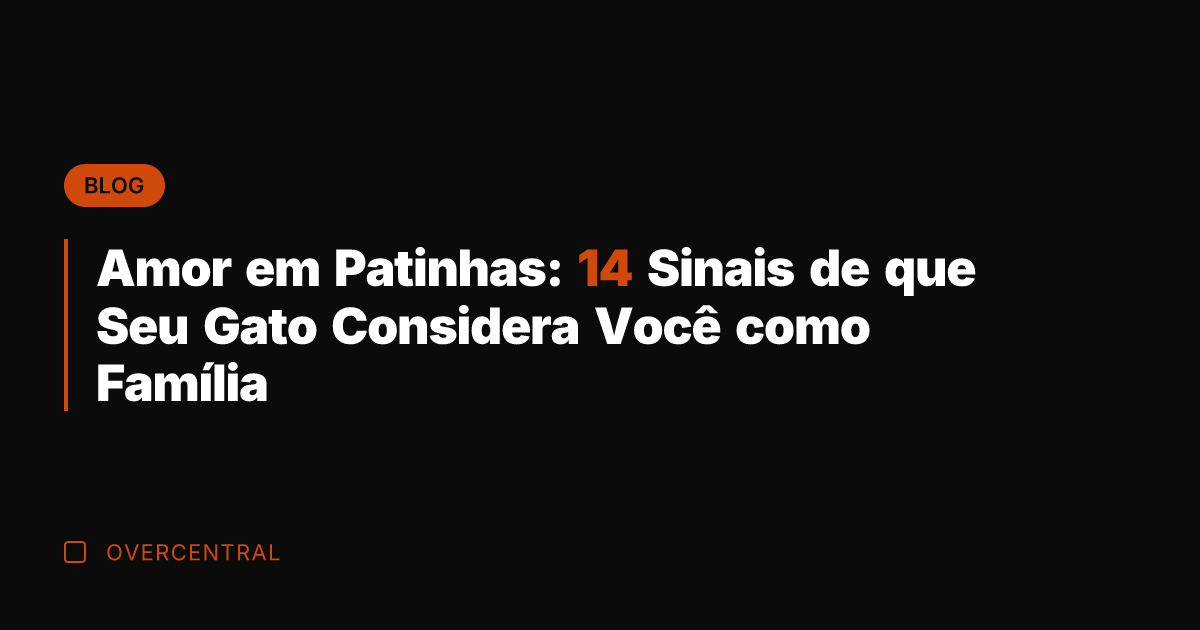 Amor em Patinhas: 14 Sinais de que Seu Gato Considera Você como